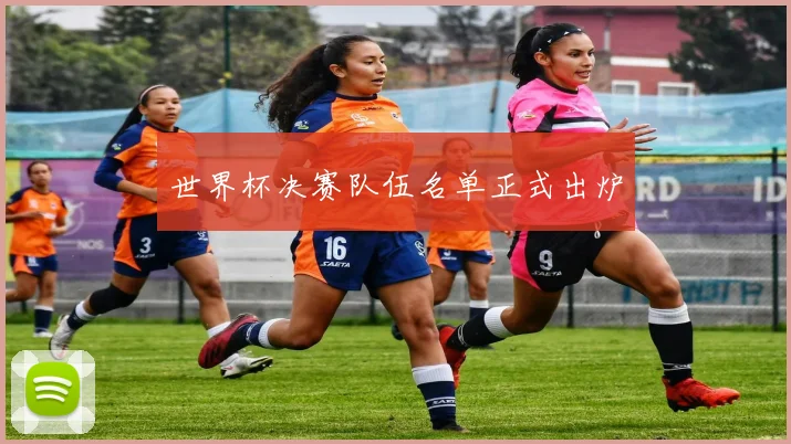 世界杯决赛队伍名单正式出炉