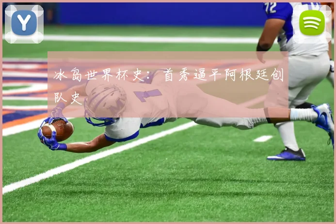 冰岛世界杯史:首秀逼平阿根廷创队史