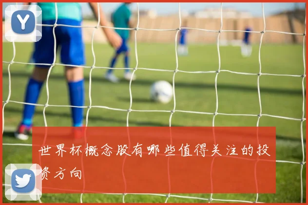 世界杯概念股有哪些值得关注的投资方向