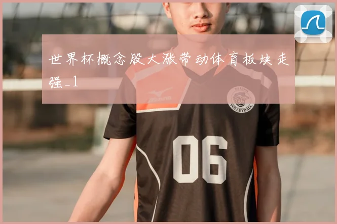 世界杯概念股大涨带动体育板块走强_1