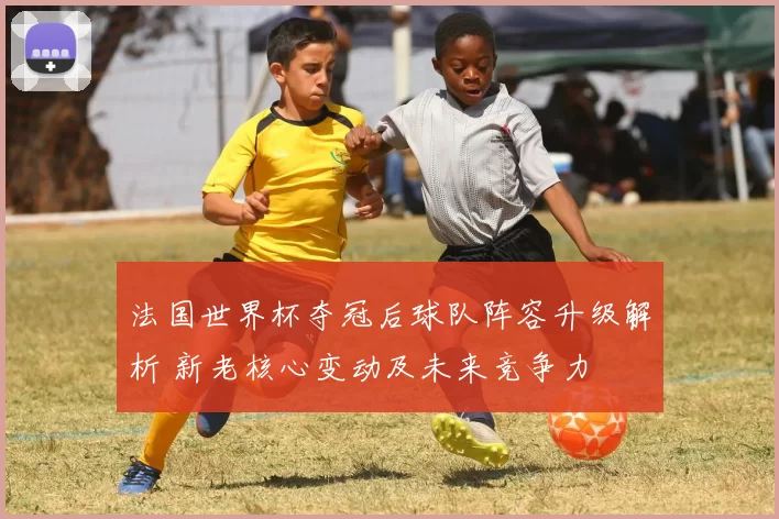 法国世界杯夺冠后球队阵容升级解析 新老核心变动及未来竞争力
