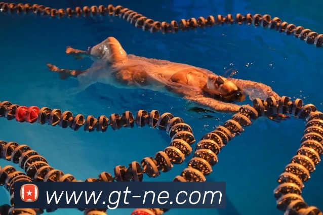 中国·银河集团(galaxy)有限公司 - 官方网站服务体系